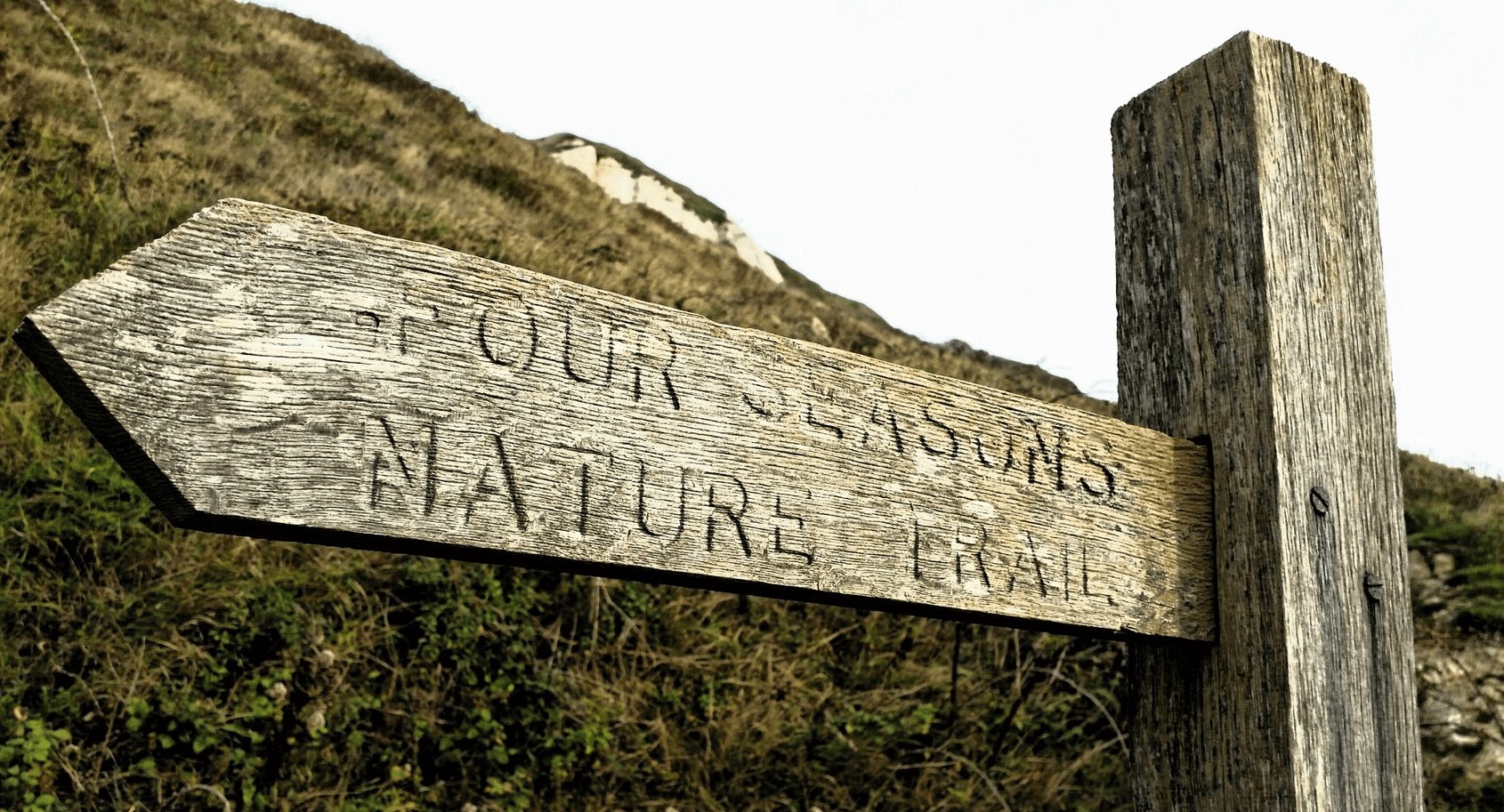 The Warren in Folkestone