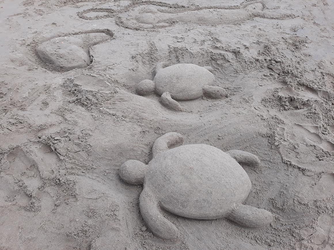 Sandcastle Competition Turtles