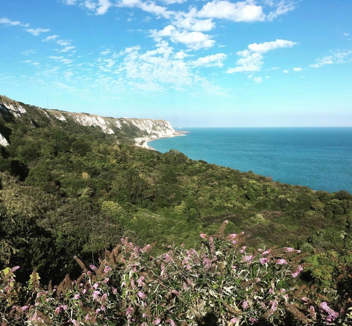 Folkestone Family Trail