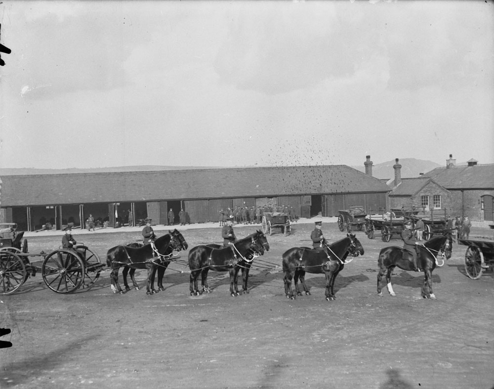 Shorncliffe's war horses