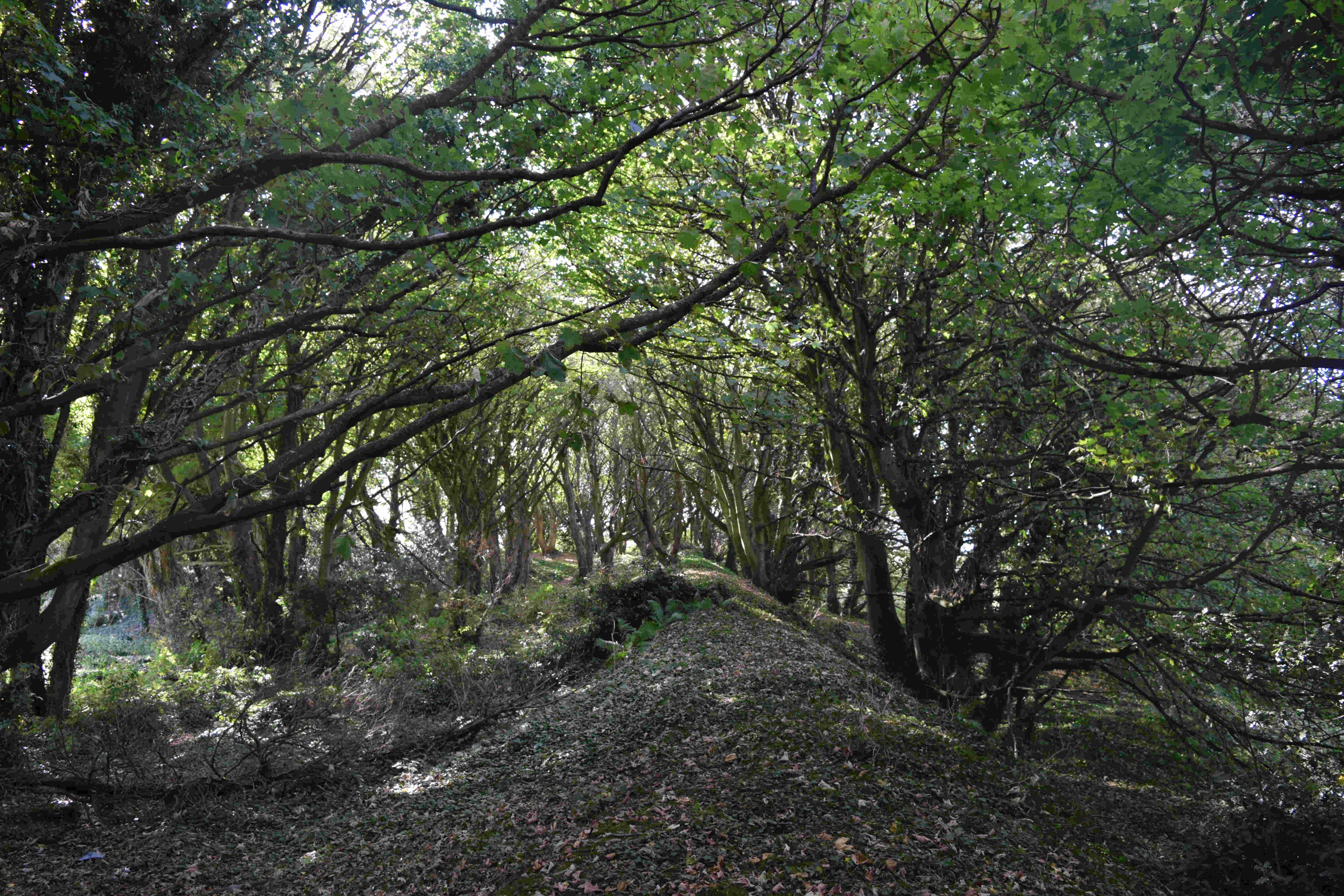 Shorncliffe Redoubt