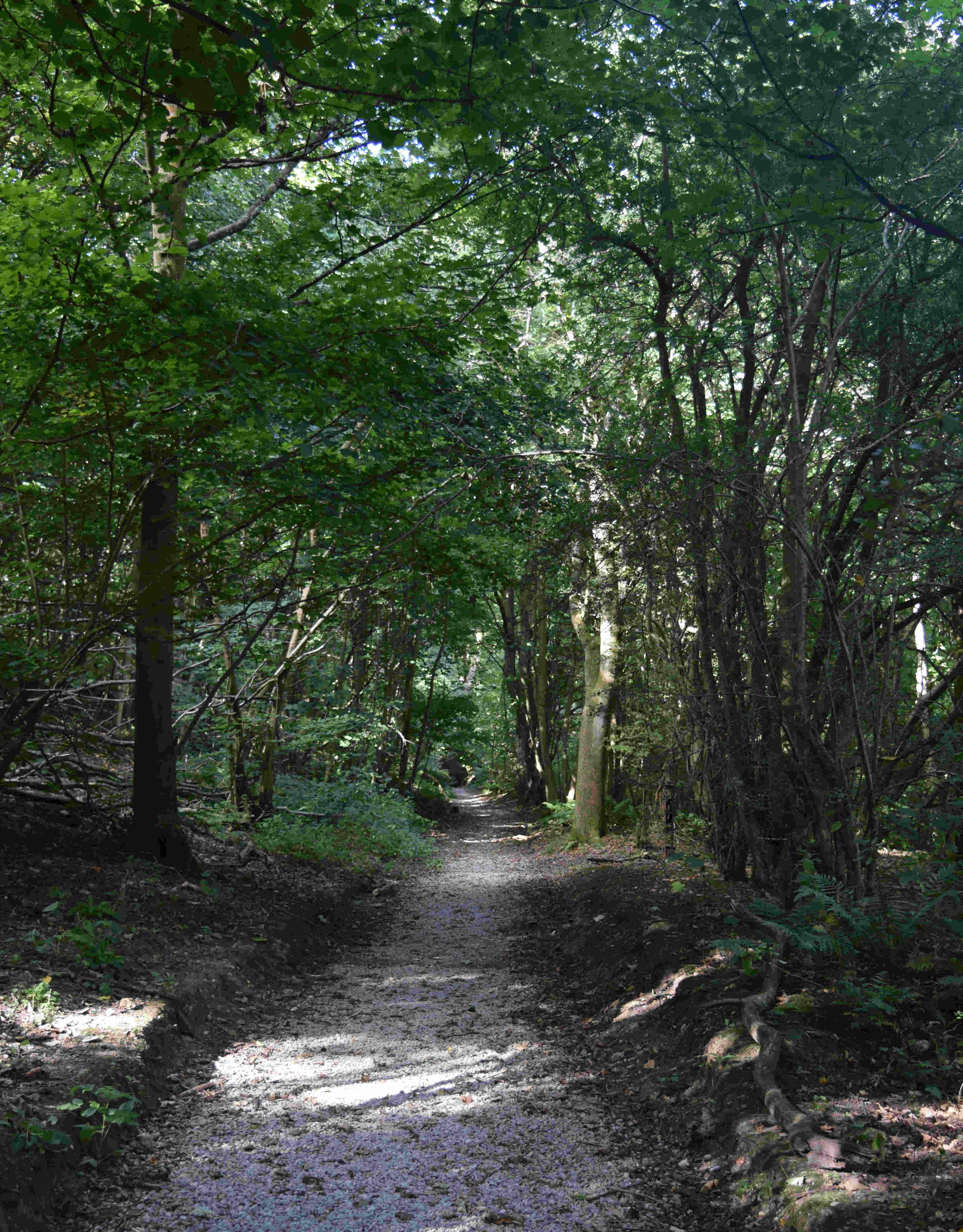 Shorncliffe Sandy Lane