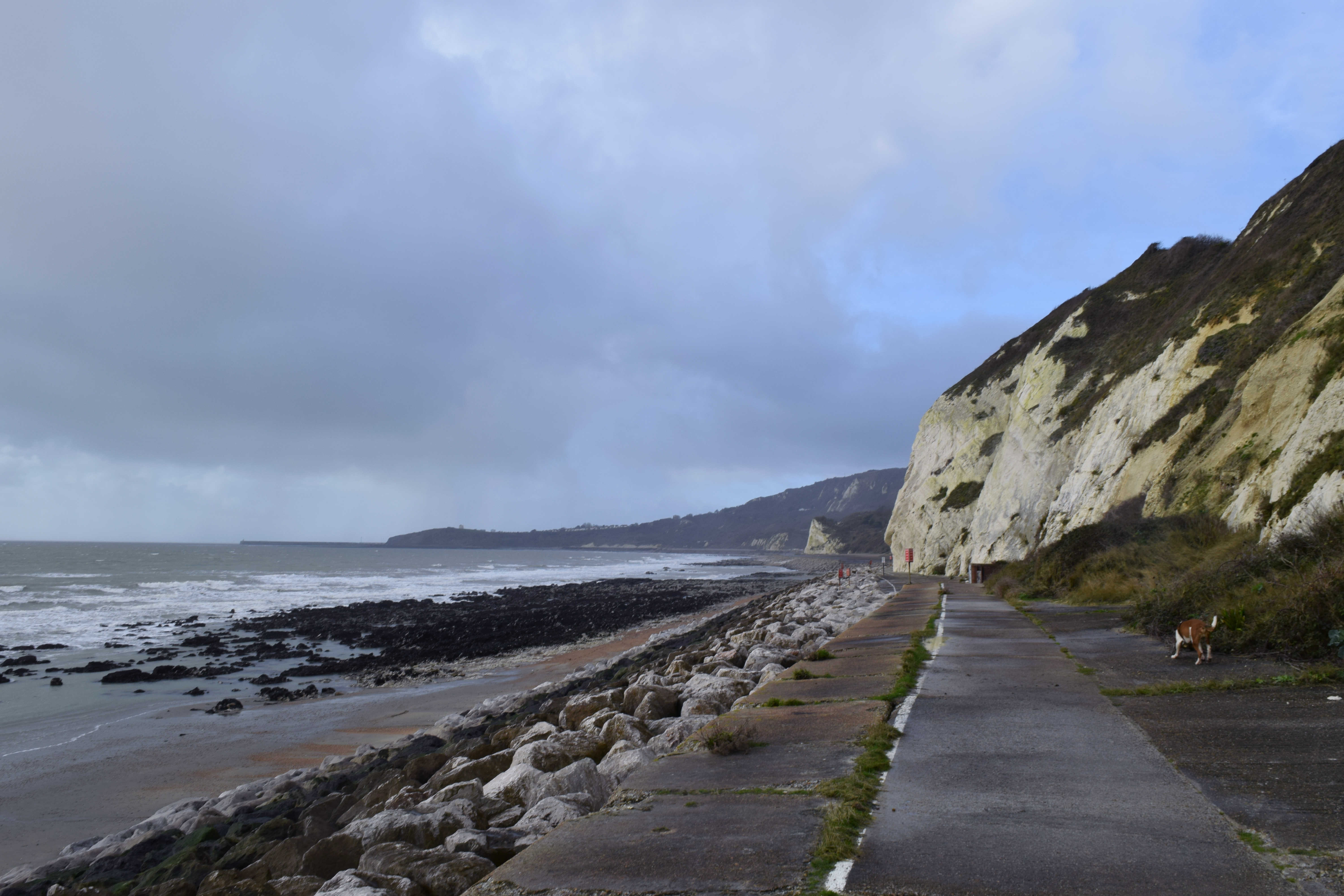 Foraging at The Warren