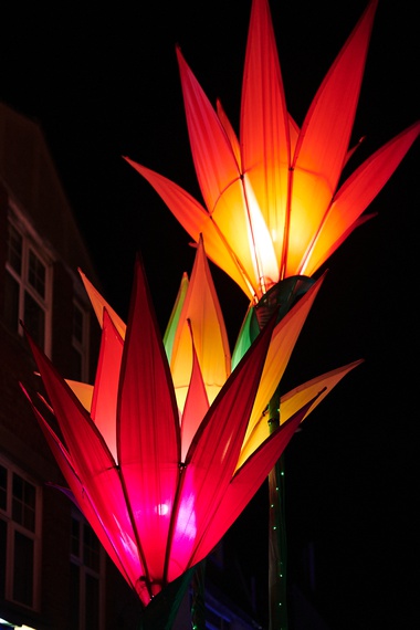 Flowers Cheriton Festival of Lights