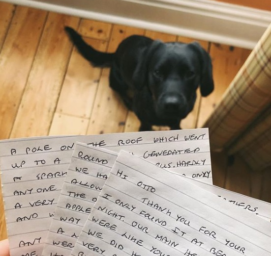Otto Letters Dog Friendly Folkestone