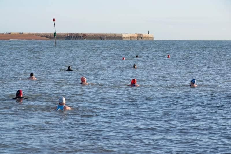 Sea Swimmers Heads