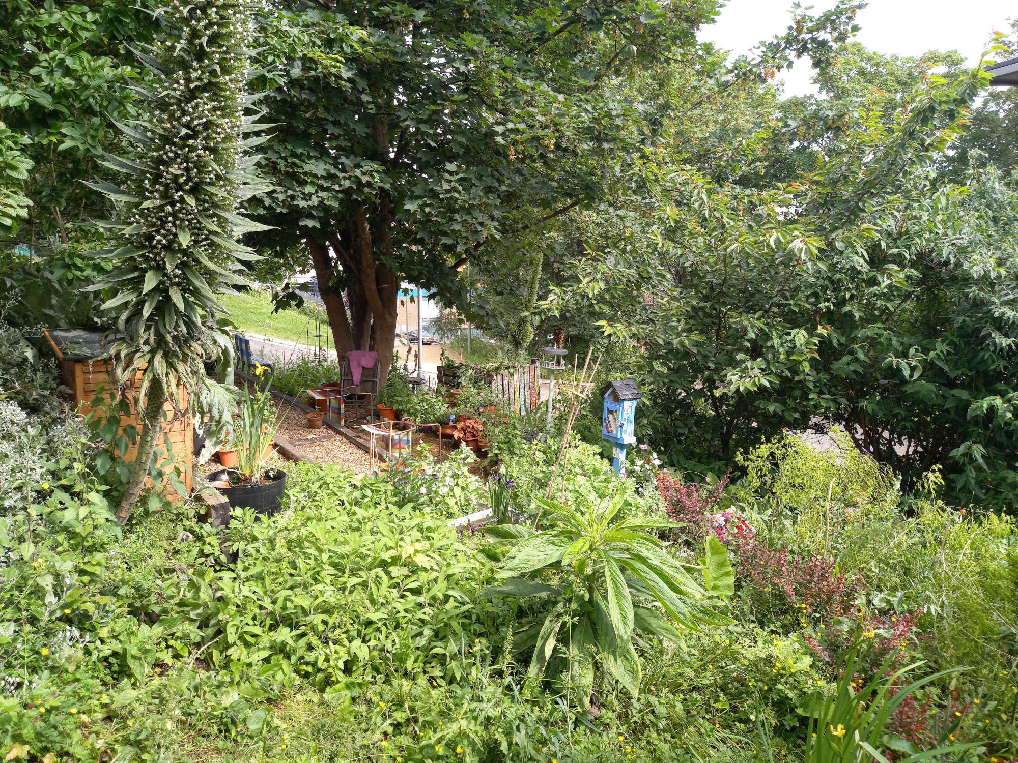 Payers Pocket Community Garden