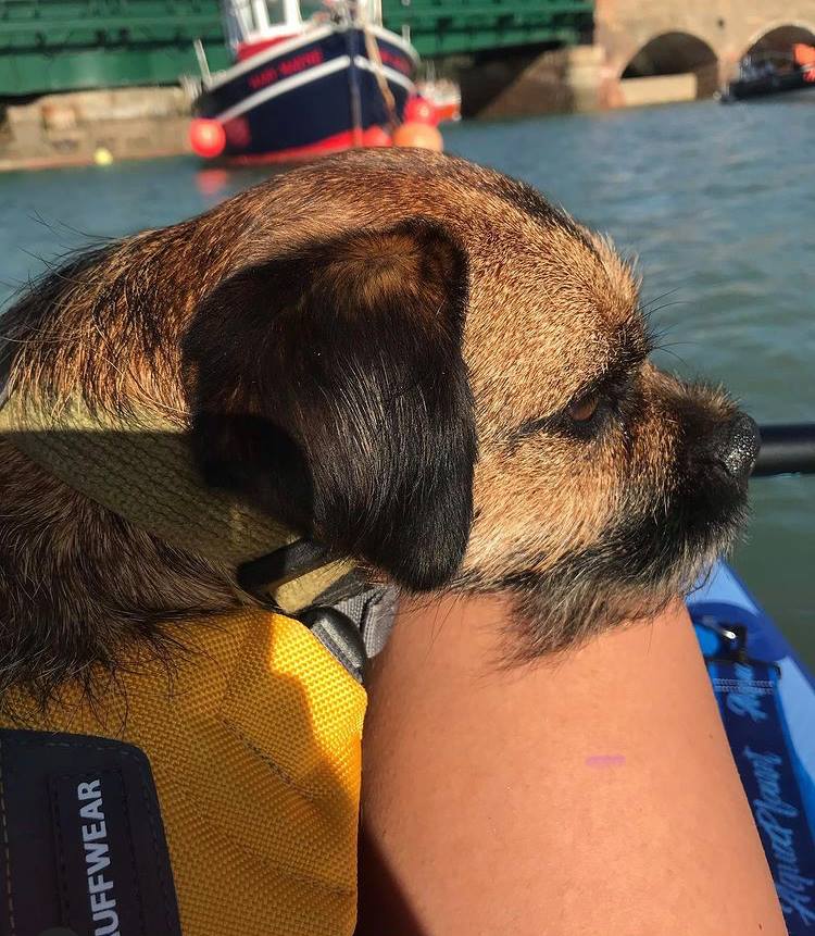 Stand Up Paddle Boarding With Clovis