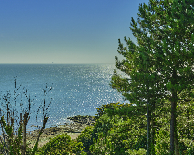 View To Sea to Dungeness