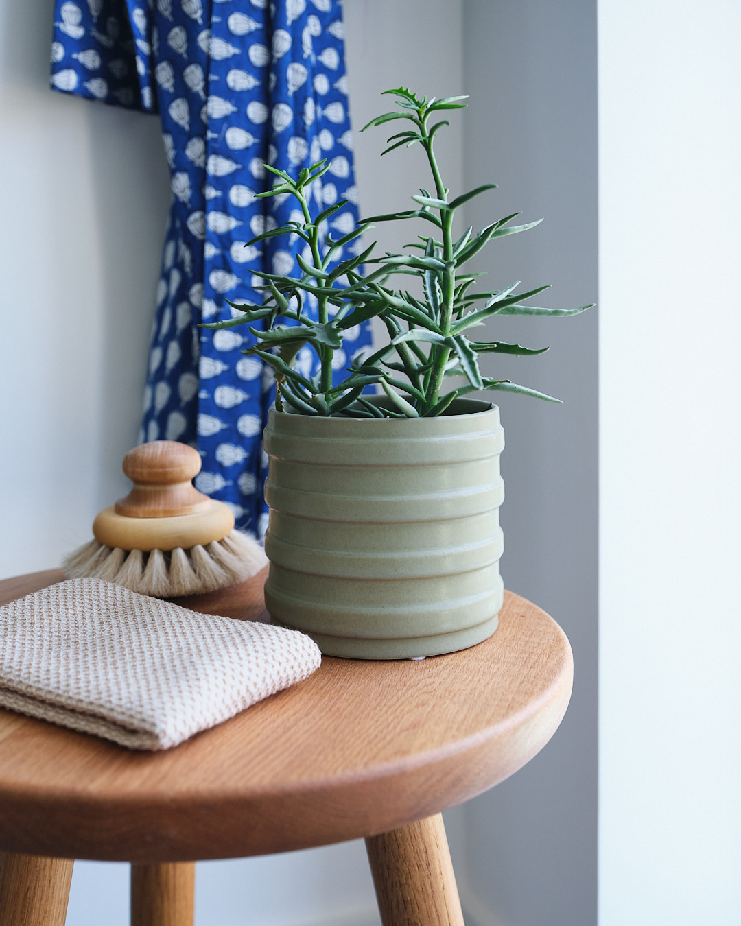 Shoreline Internal plant in bathroom