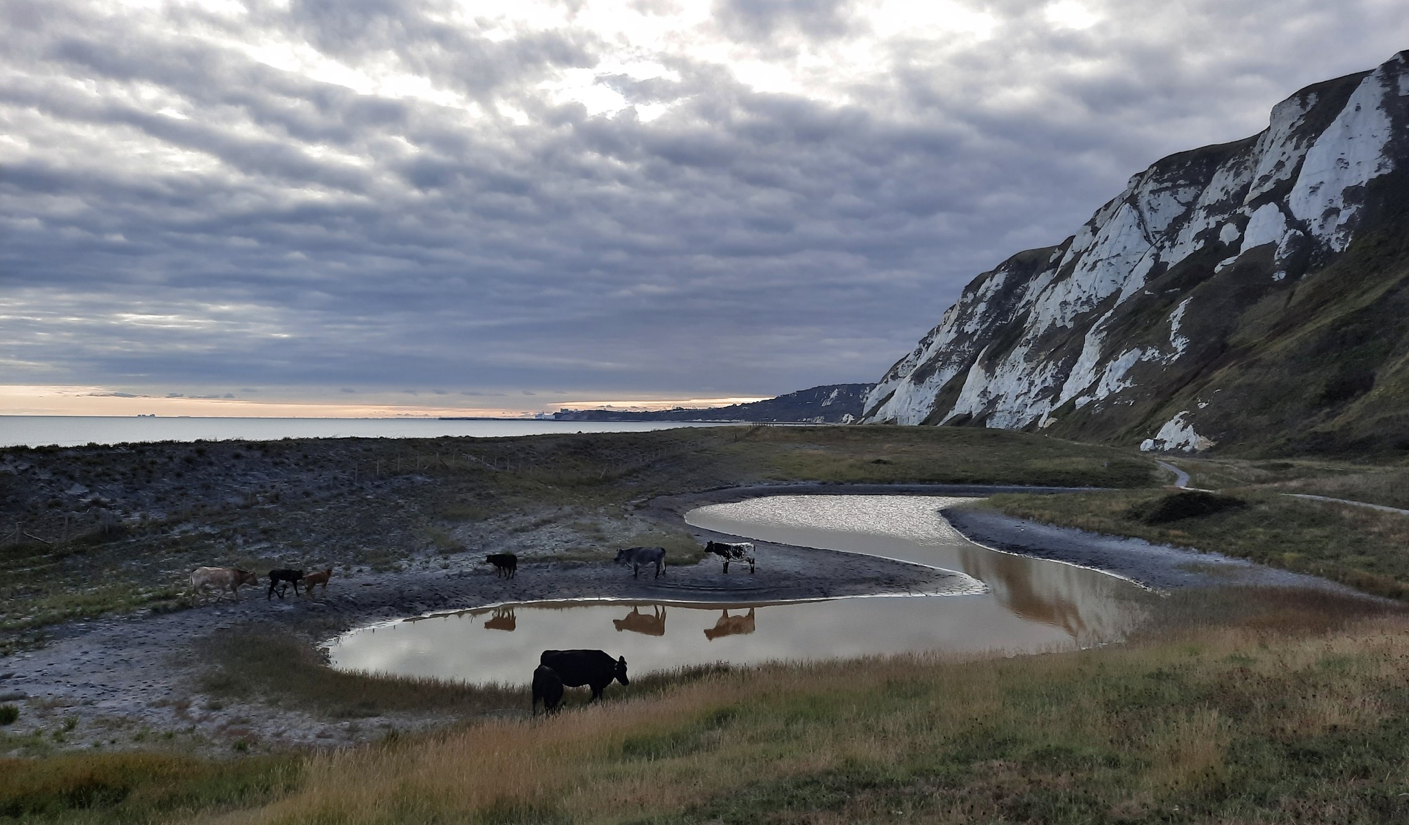 Samphire Hoe