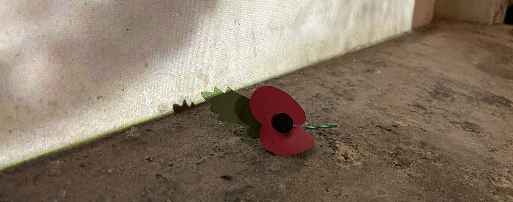 Poppy Walking With Ghosts Credit Helen Brooks