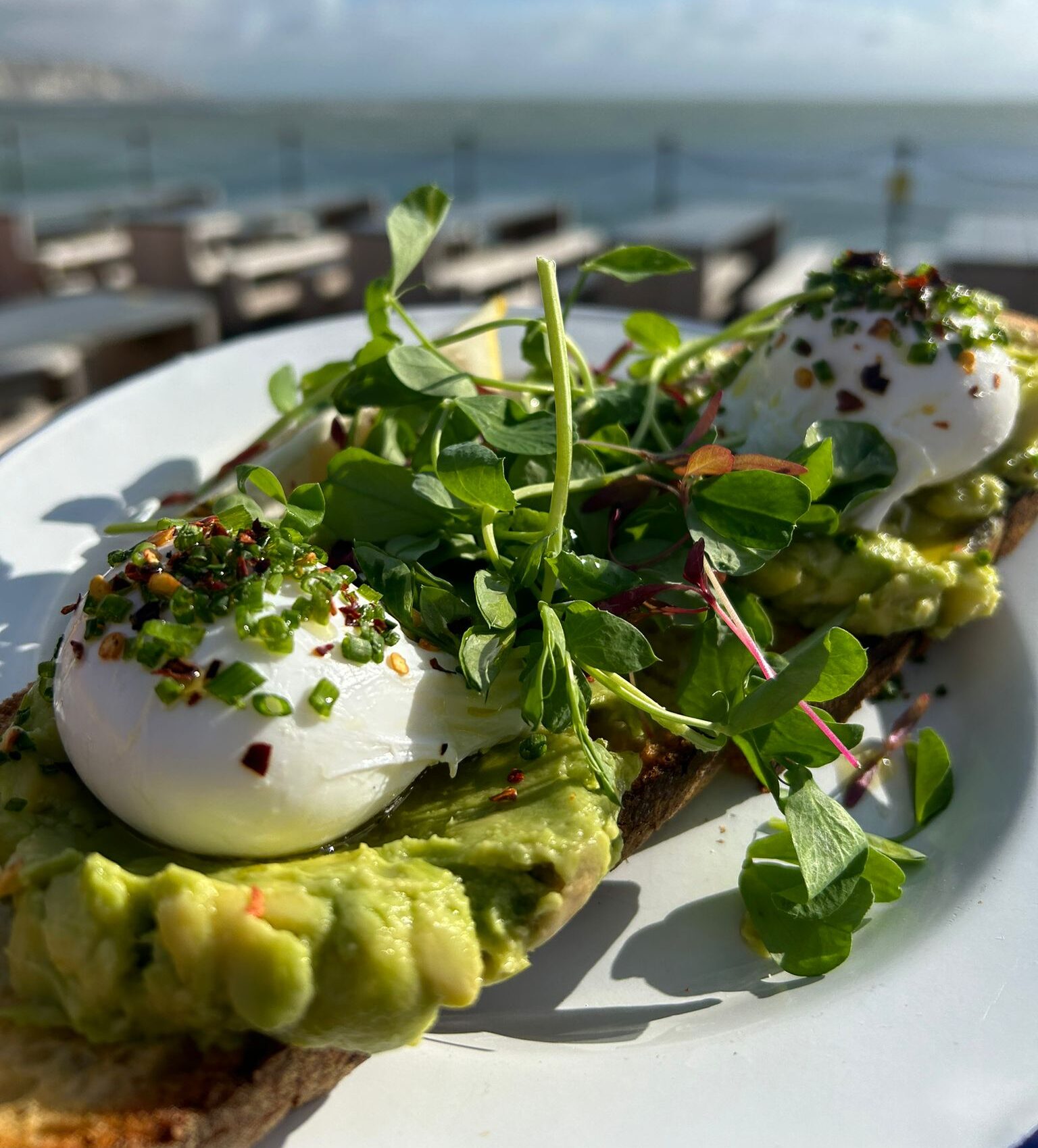 Sailbox Poached Eggs on Avocado