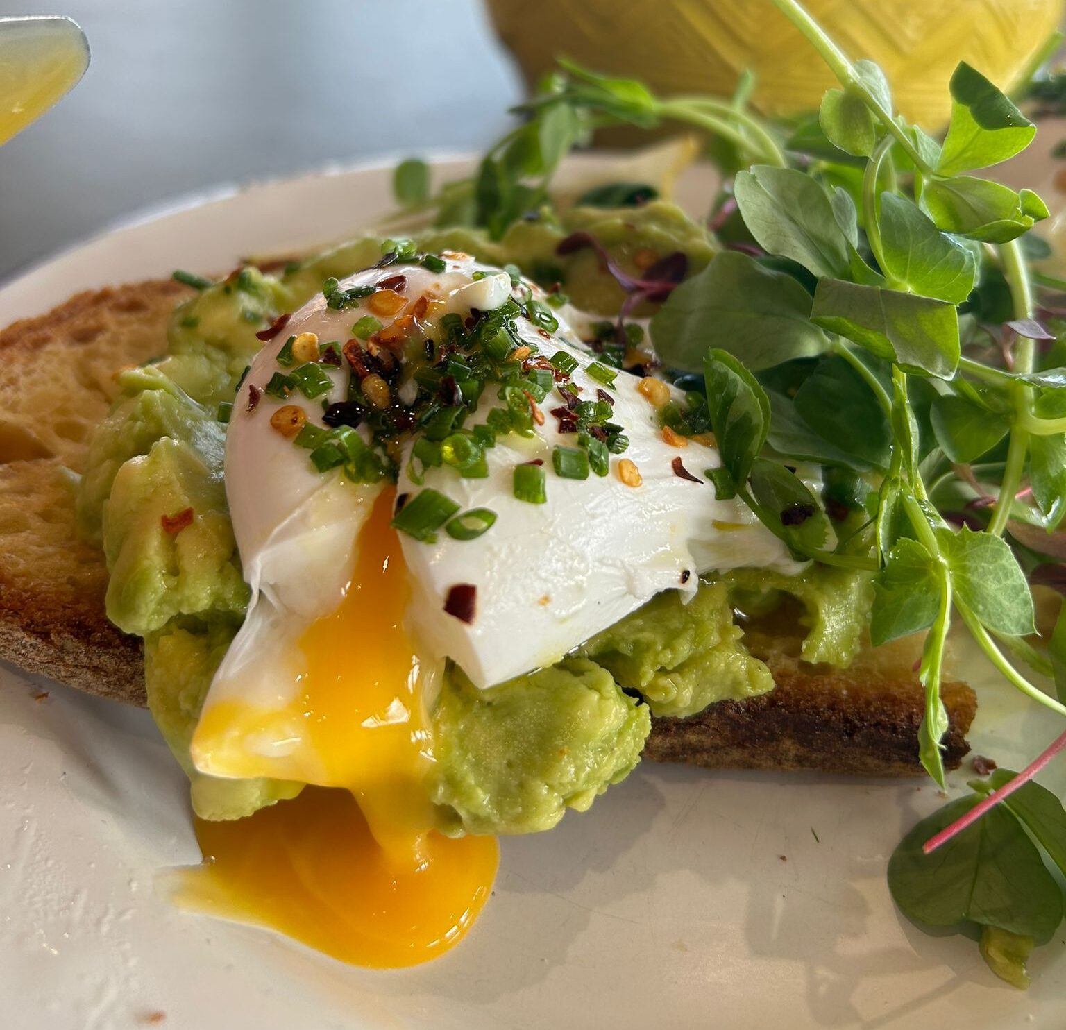 Sailbox Poached Eggs Avocado