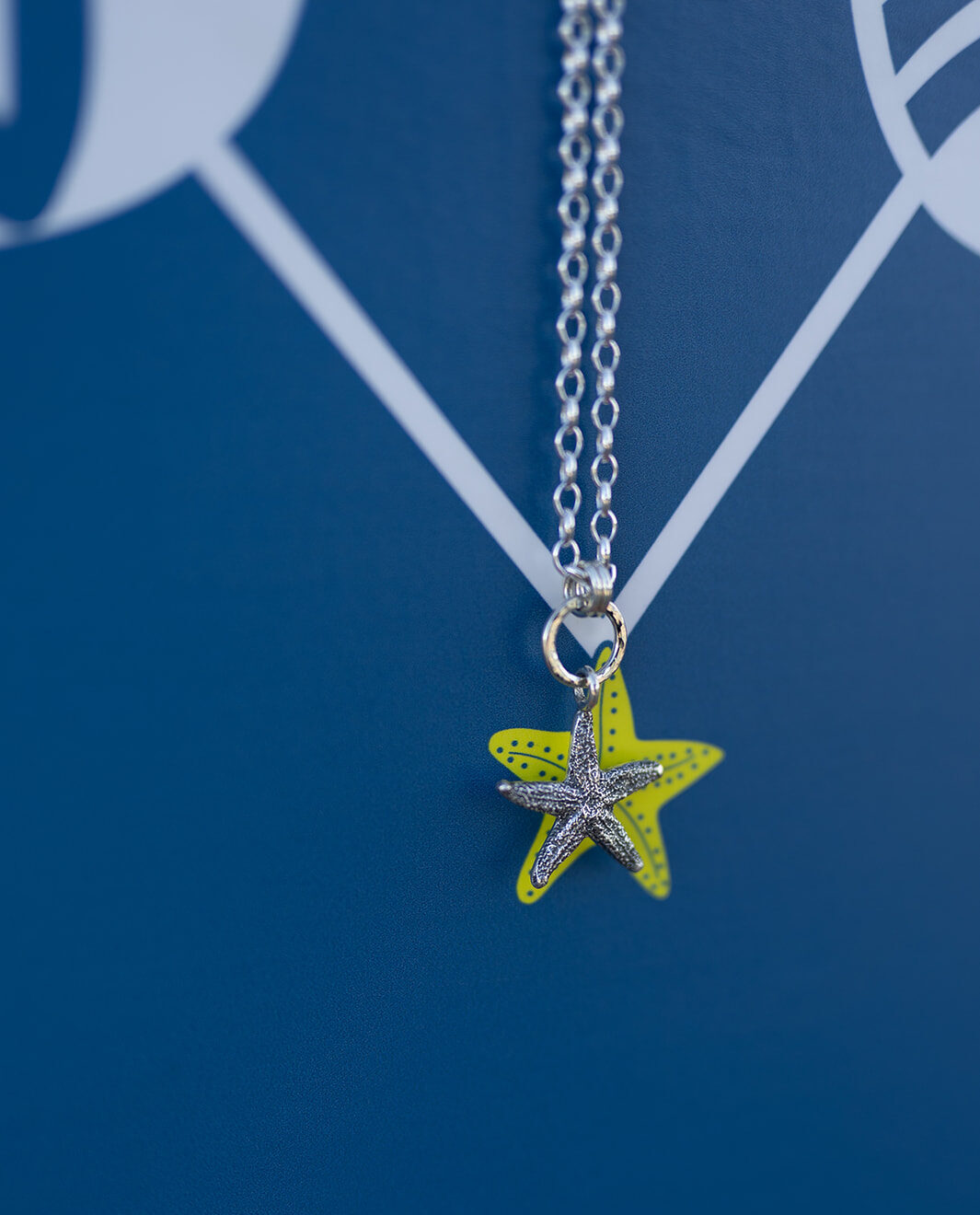 in Silver starfish Credit Mooiefeephotography