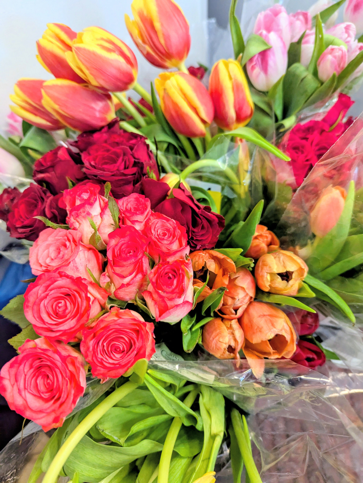 Folkestone Community Fridge Flowers